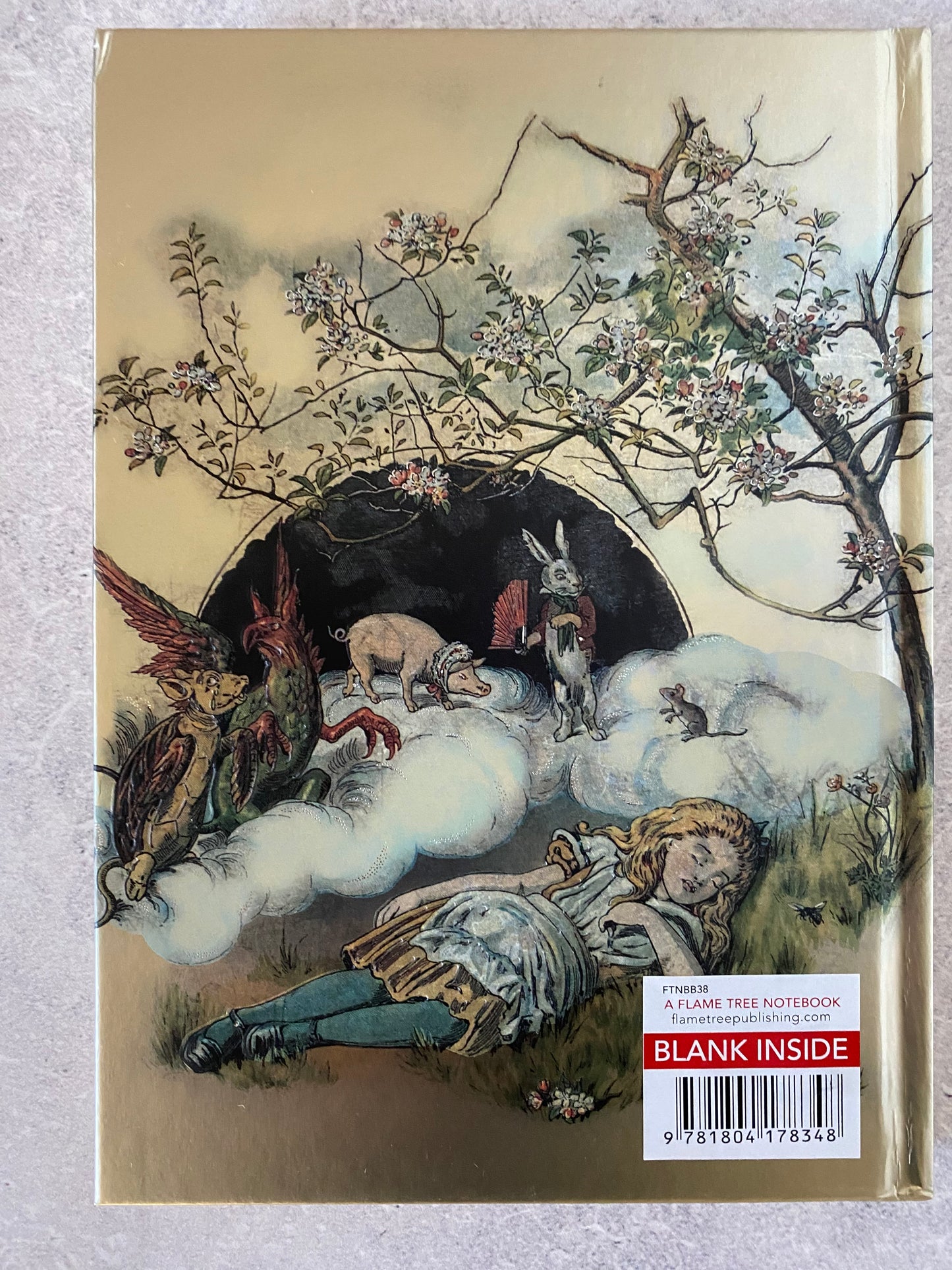 British Library: Alice Asleep, from Alice's Adventures in Wonderland (Foiled Blank Journal) - Sale
