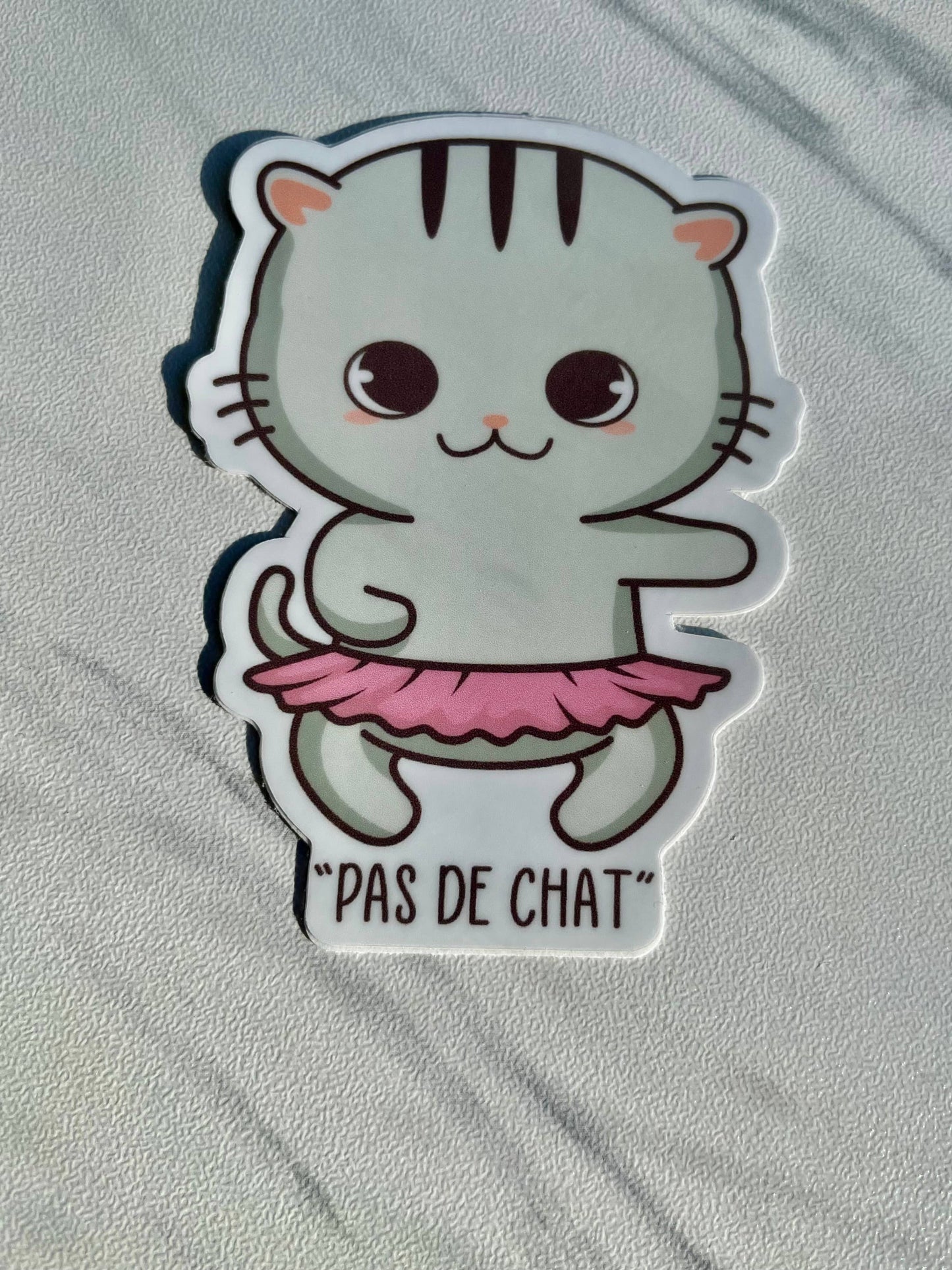 Cartoon cat in a pink tutu with 'Pas de Chat' text on a light gray background