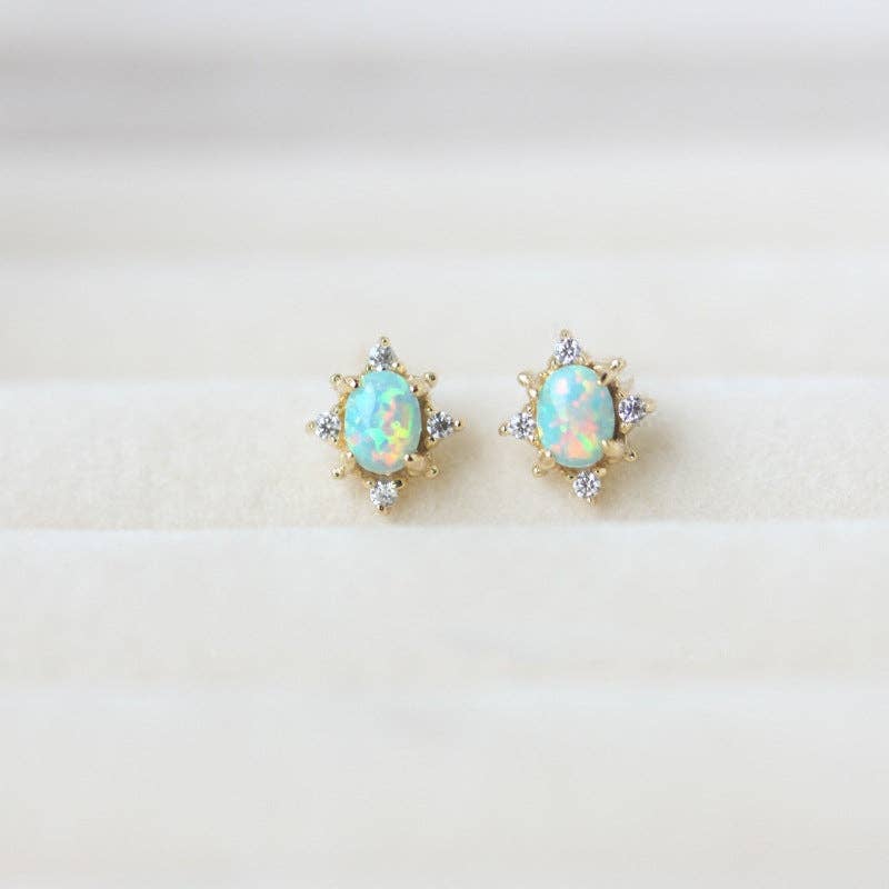 Pair of opal earrings on a white background