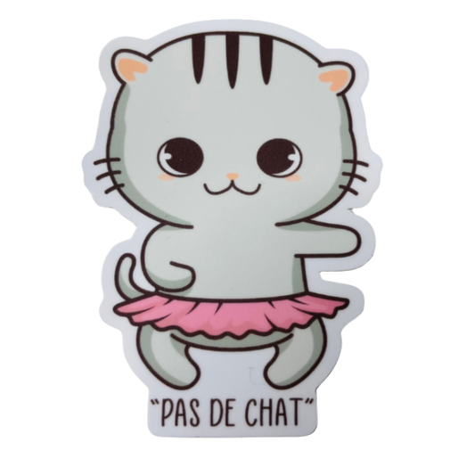 Cartoon cat in a pink tutu with 'Pas de Chat' text on a white background